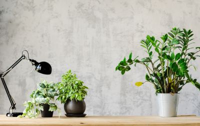 Office Wallpaper Installation in Kansas City, KS
